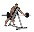 Biceps Curl - Overhang Barbell Wide Grip